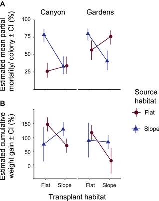 Signatures of Adaptation and Acclimatization to Reef Flat and Slope Habitats in the Coral Pocillopora damicornis